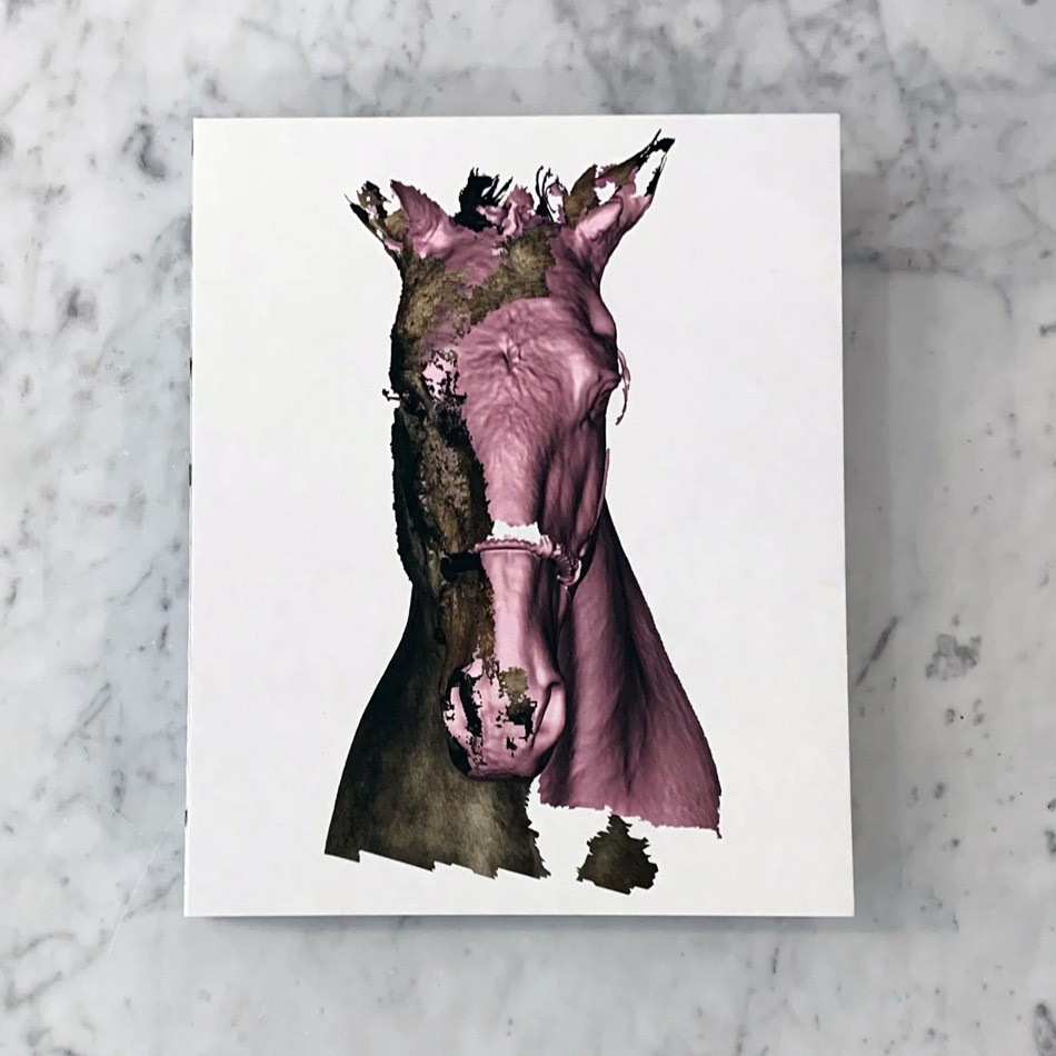 Tove Kjellmark: The Horse, the Robot & the Immeasurable 