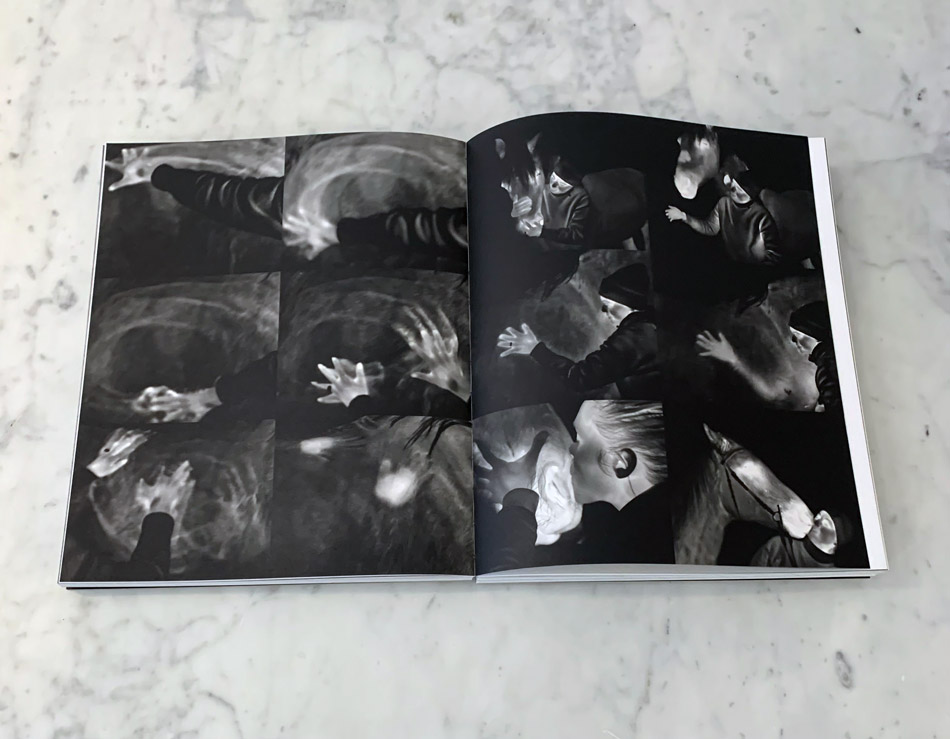 Tove Kjellmark: The Horse, the Robot & the Immeasurable  - 2