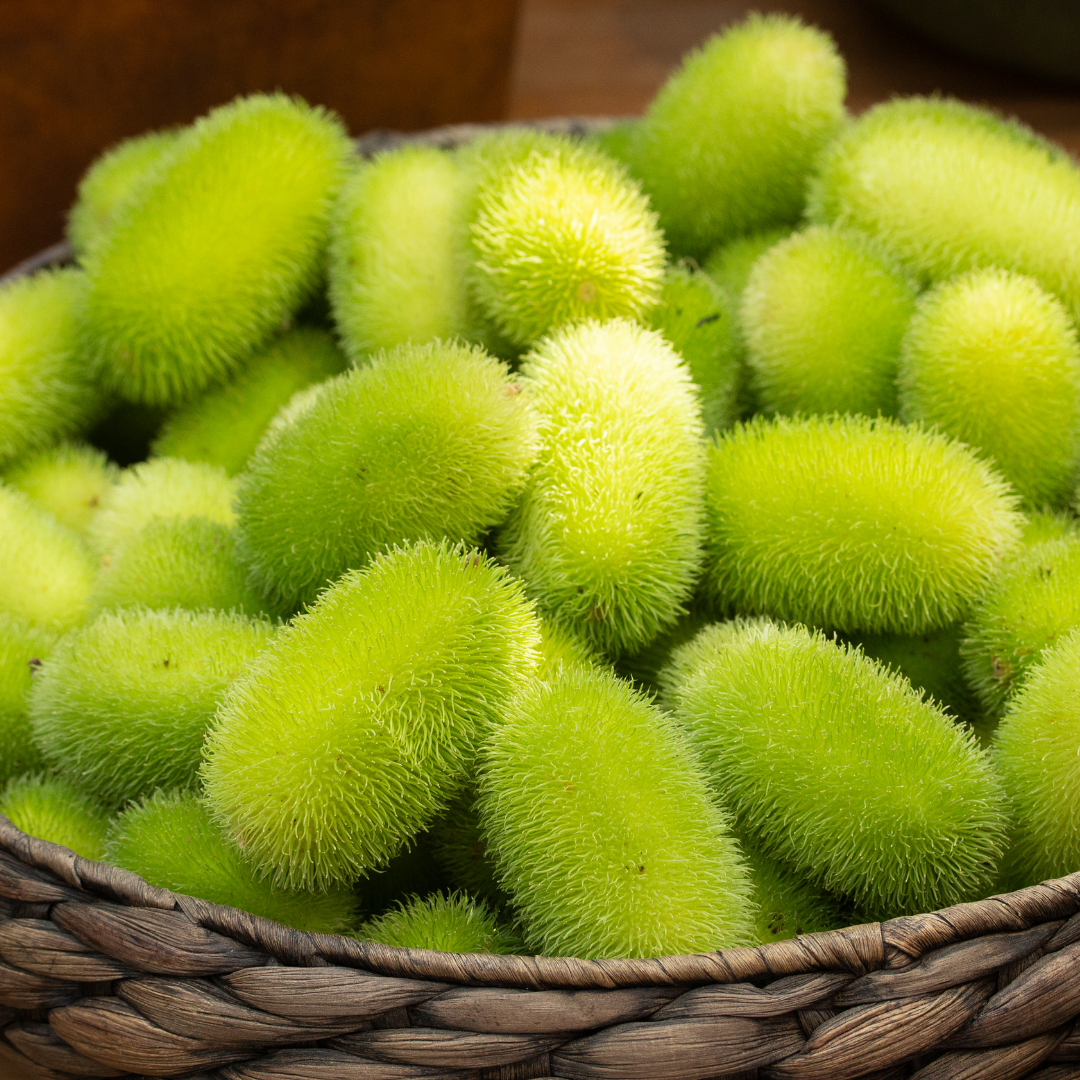 Igelkottsgurka - Hedgehog