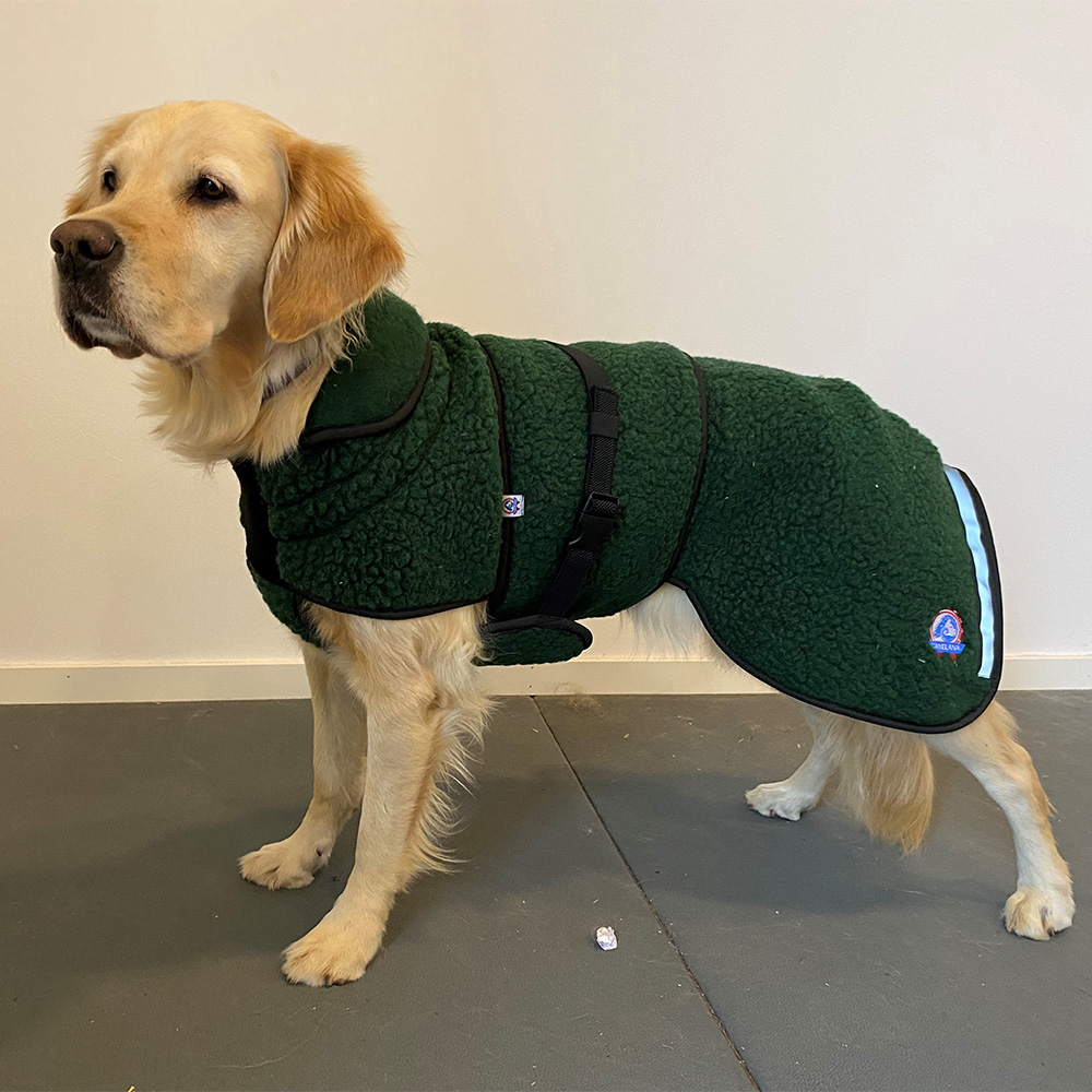 Poodle Dog Fur Coats Canelana Ambassador/Selva Wool Coat Dog