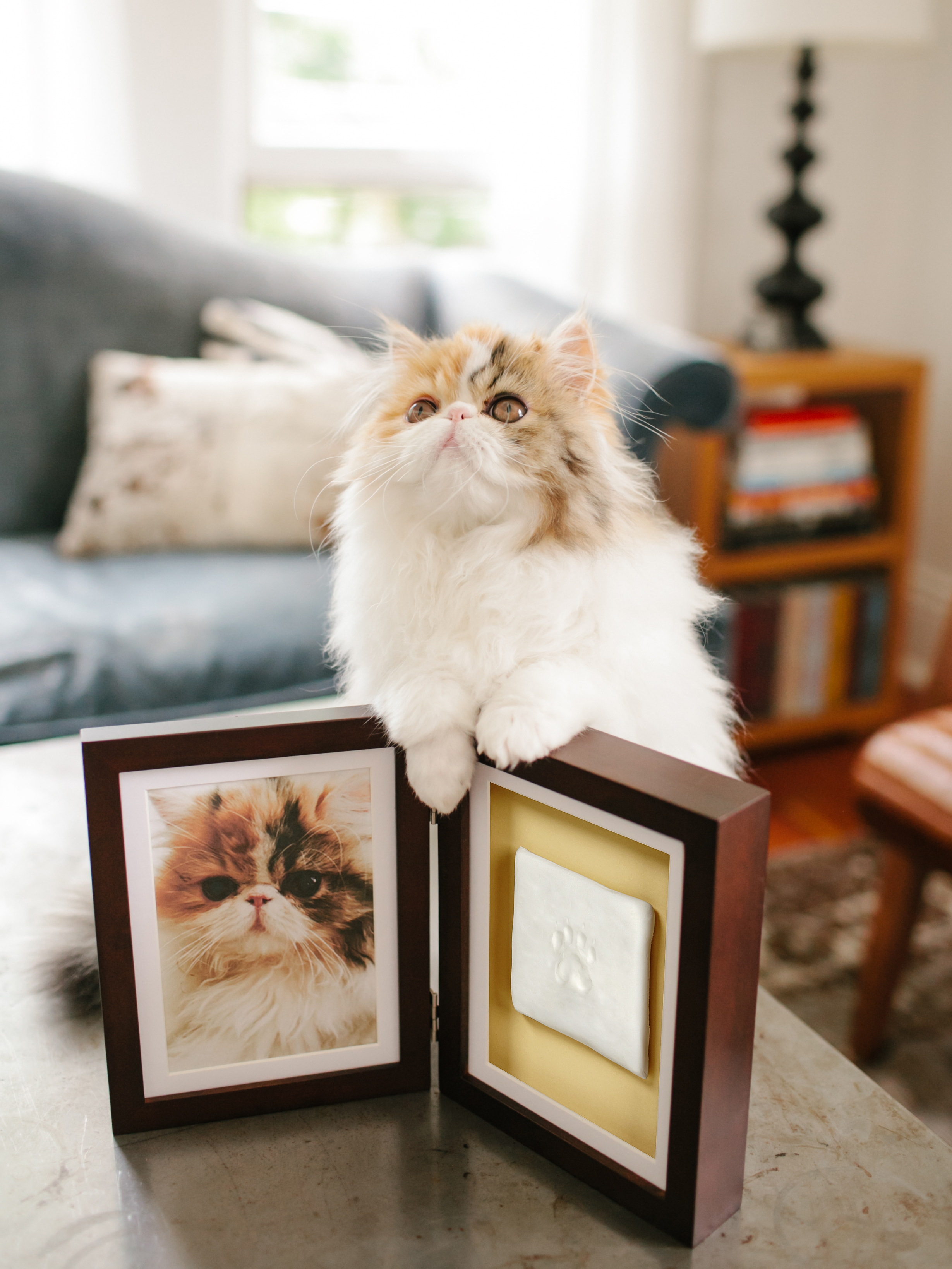 Tassavtryck Ram Ledad Espresso - 7