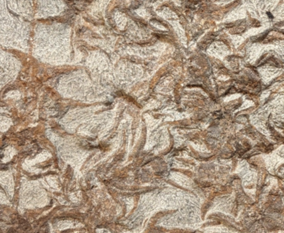 Sjöstjärna Fossil Platta - 35cm - 2
