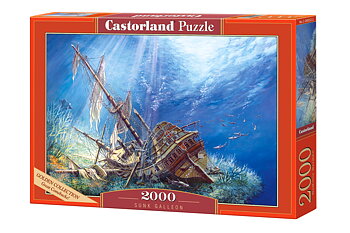 Sunk Galleon 2000 Bitar Castorland 