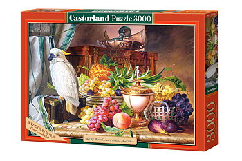 Still Life with Fruits and a Cockatoo 3000 Bitar Castorland
