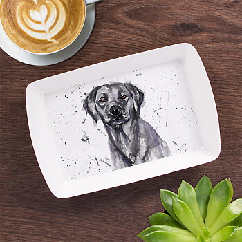 Bricka i Melanin svart Labrador