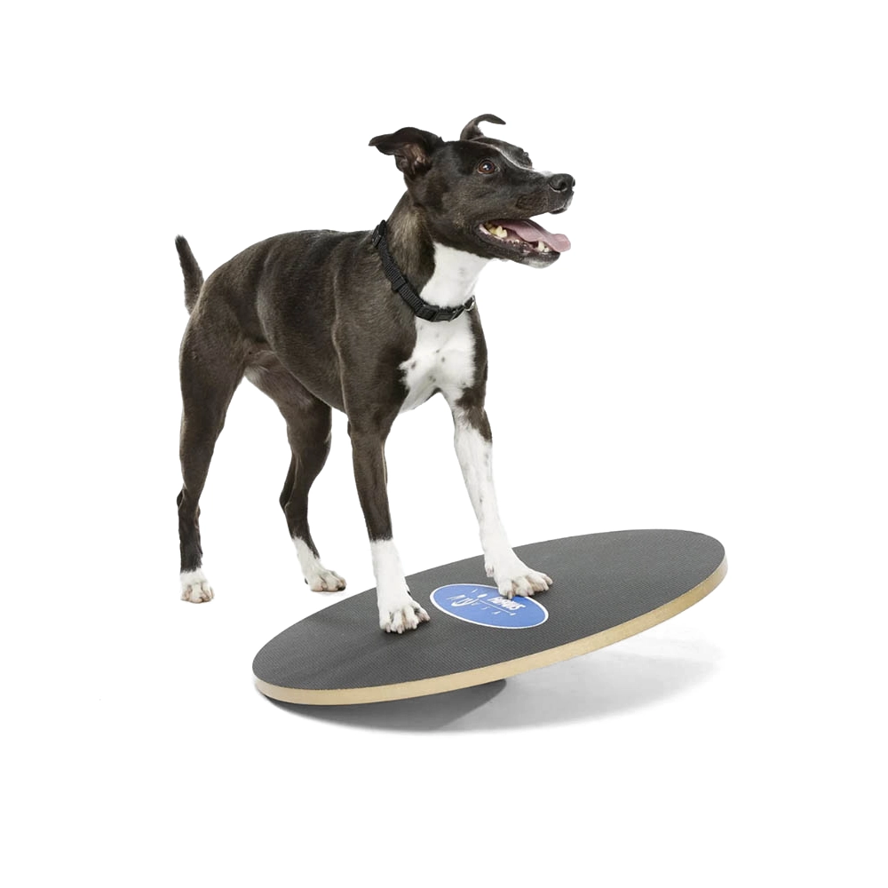 FitPAWS wobble board