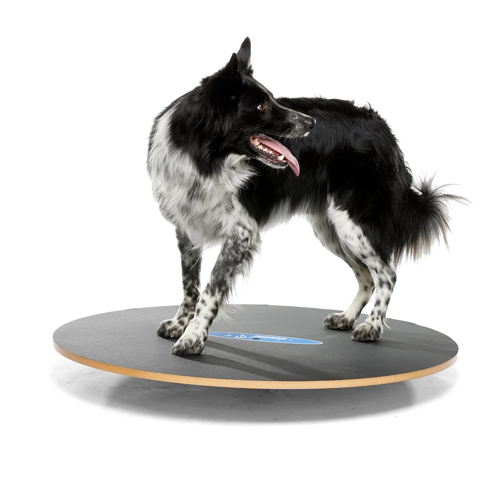 FitPAWS wobble board - 7