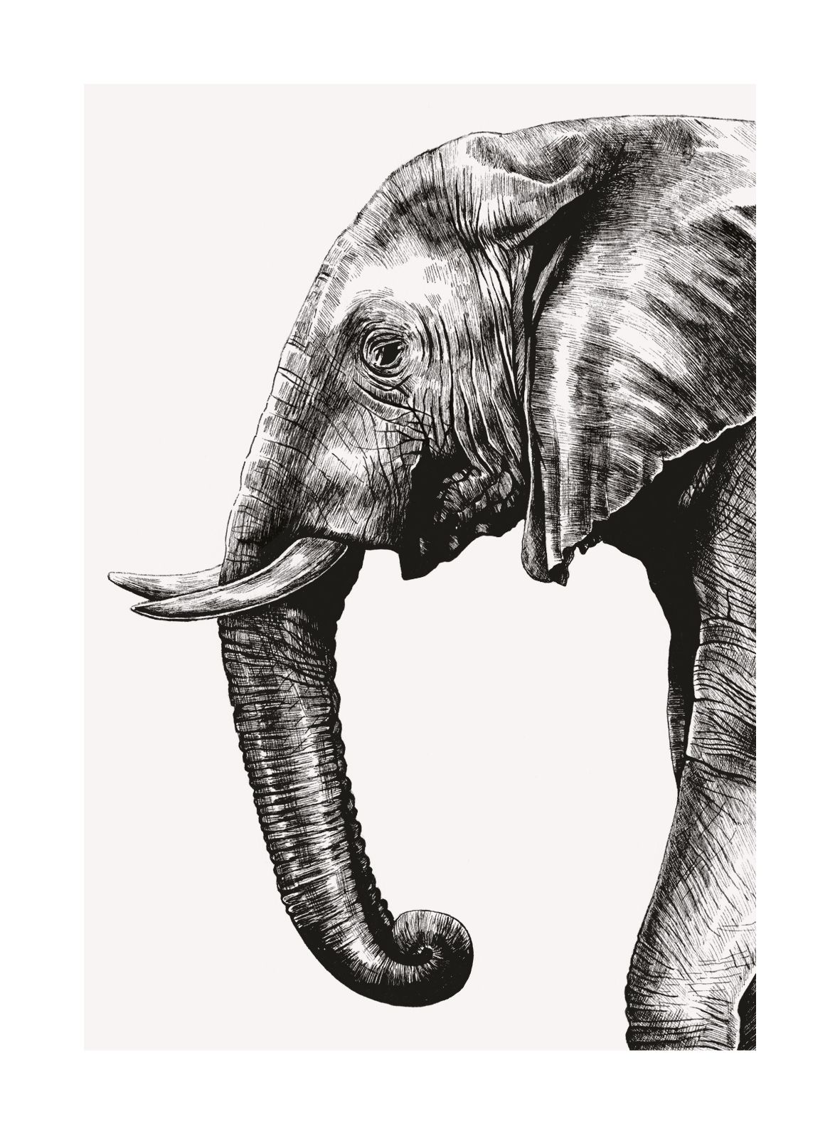 African Elephant, Greeting Card