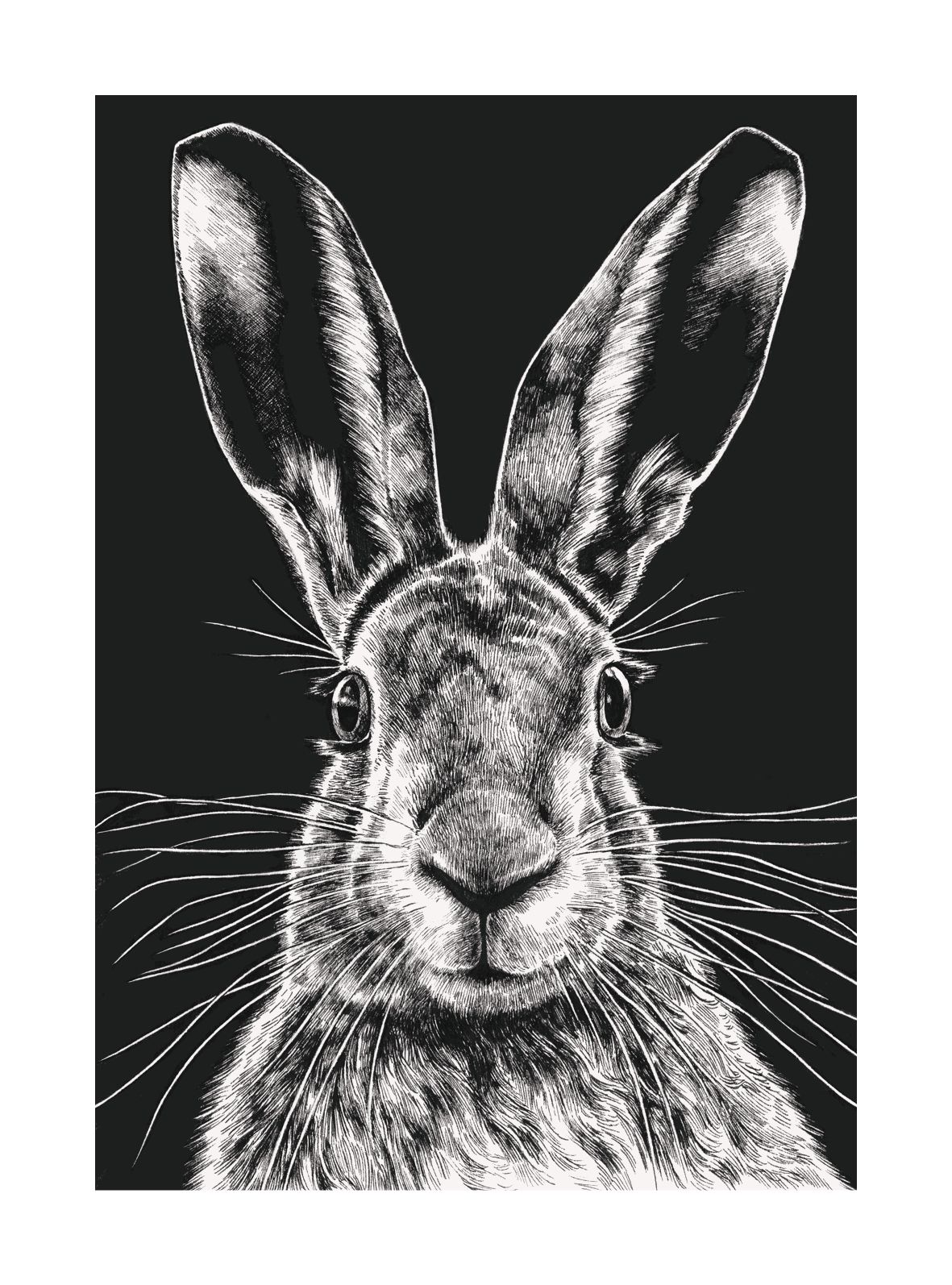 Wild Hare, Greeting Card