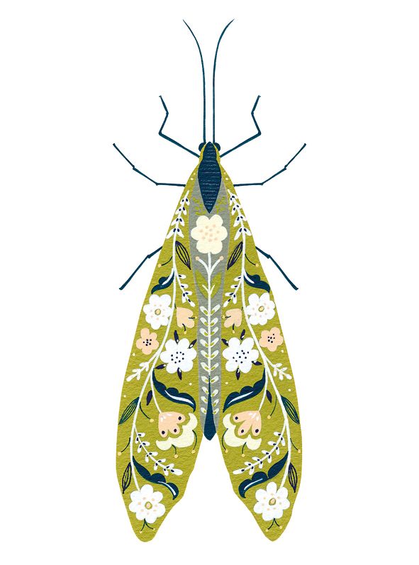 Moss Green Bug, Greeting Card