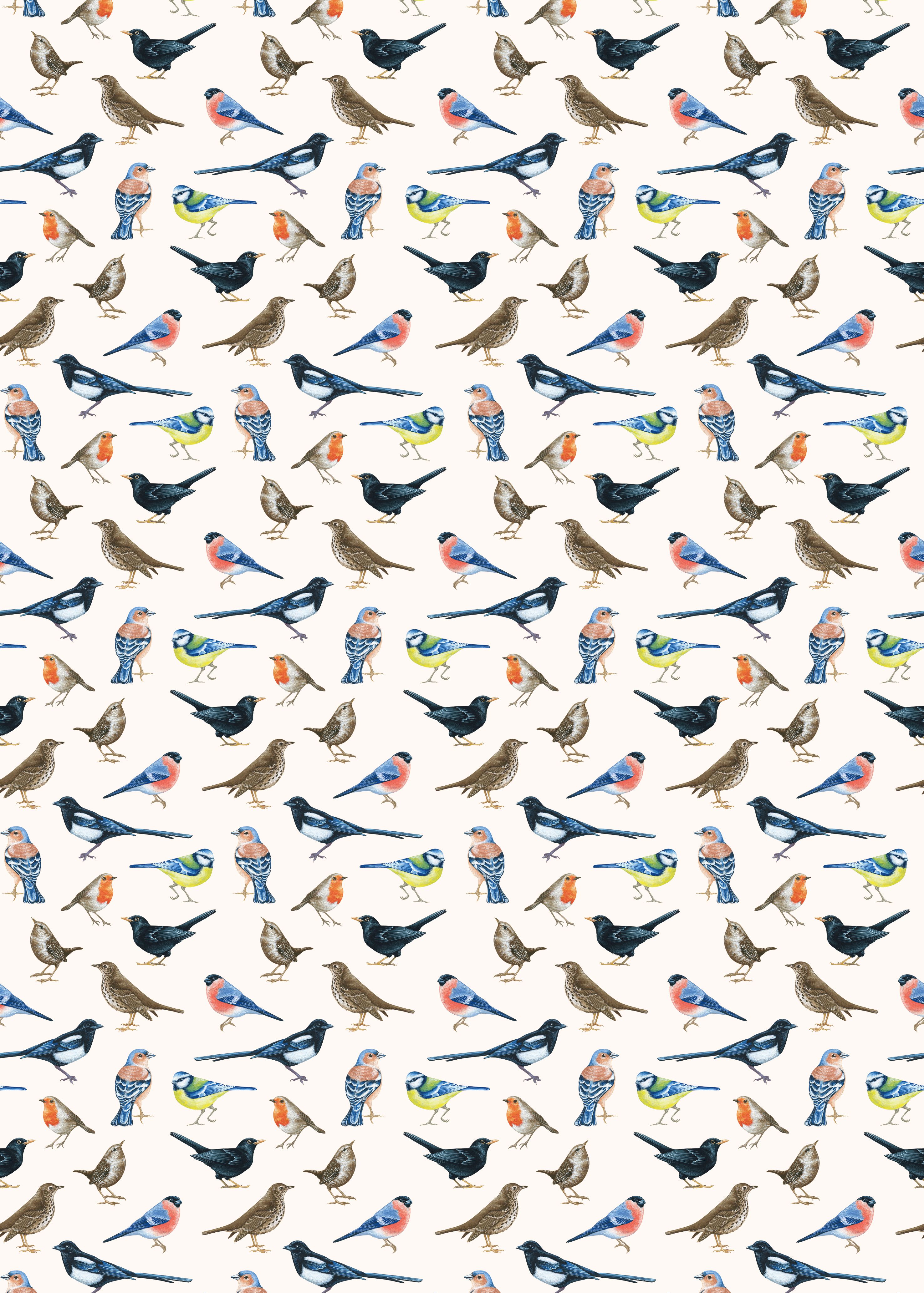 Birdsong Cream Birds 3M Roll Wrap