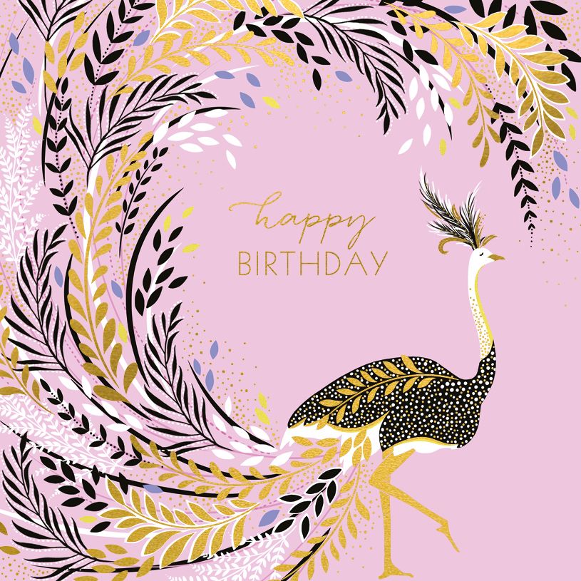Ostrich On Pink, Greeting Card