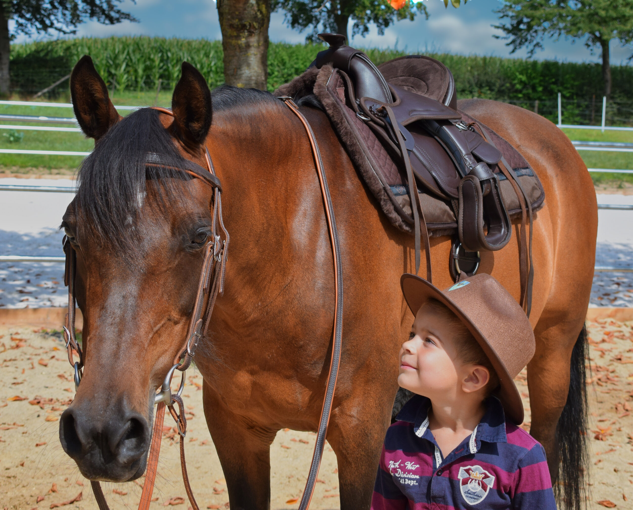 Western saddle for children (treeless) Billy the kid, EDIX® VEGAN - 6