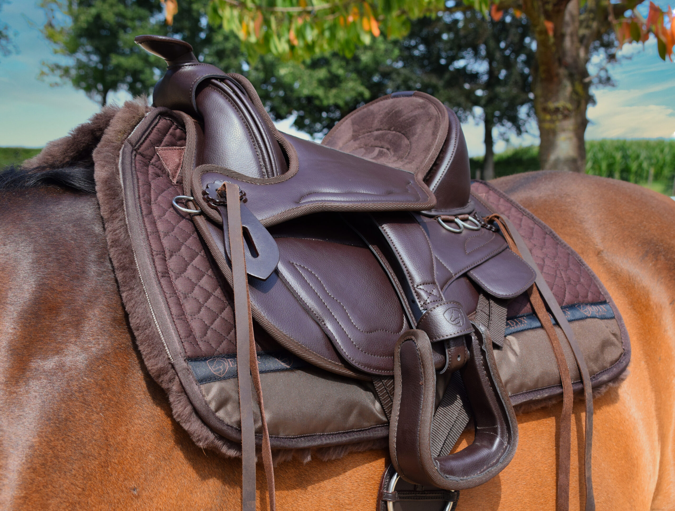 Western saddle for children (treeless) Billy the kid, EDIX® VEGAN - 5