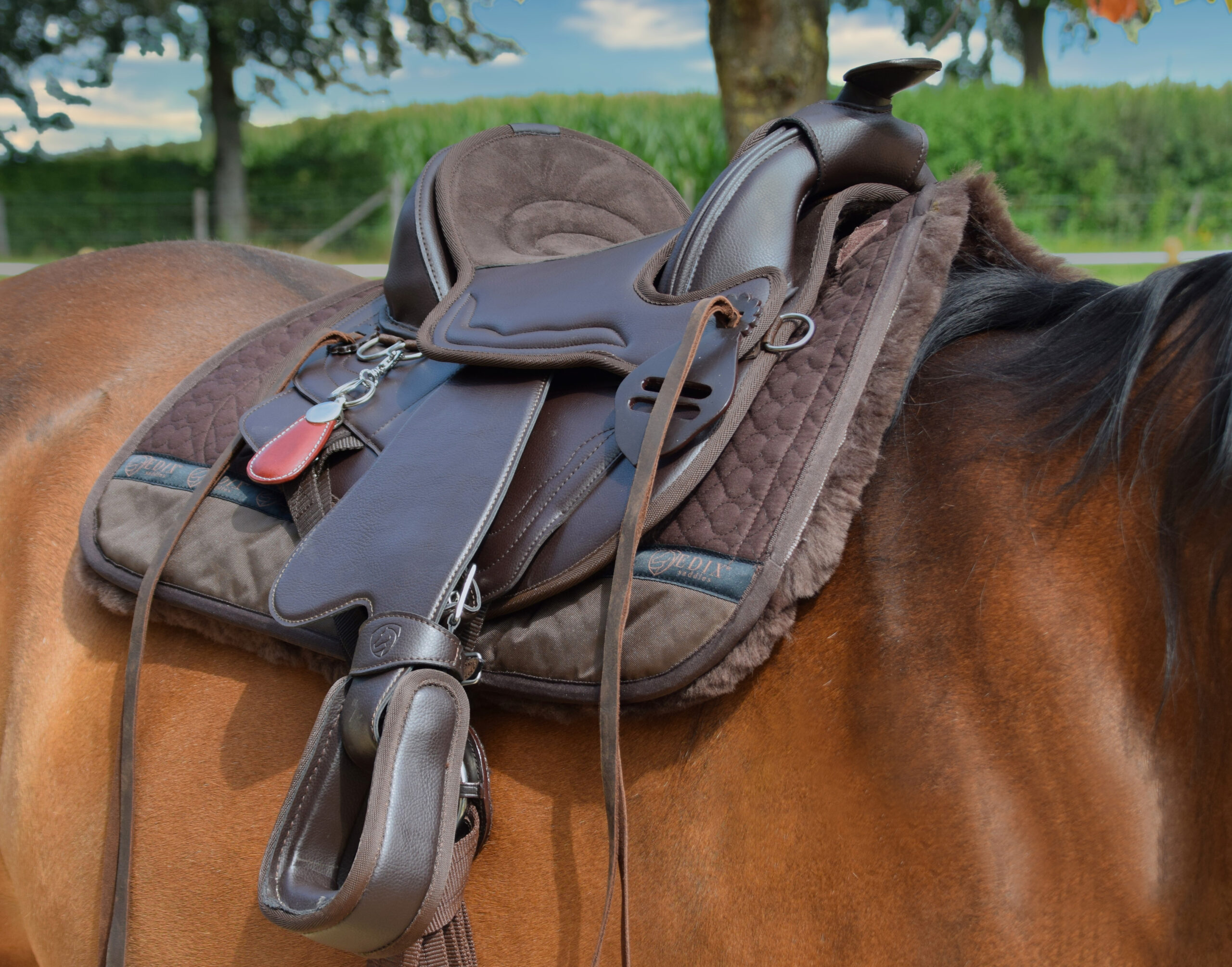 Western saddle for children (treeless) Billy the kid, EDIX® VEGAN - 4
