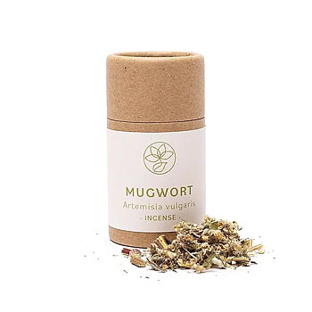 Gråbo ( Mugwort) - 6gram i glasflaska