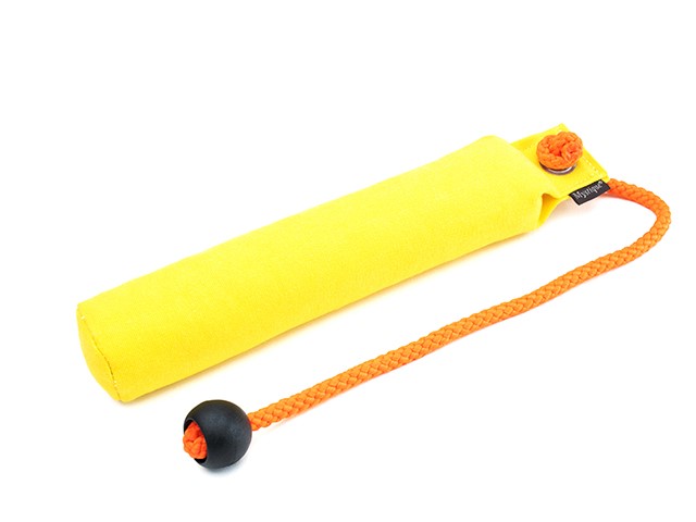 Dummy School, gul 300g