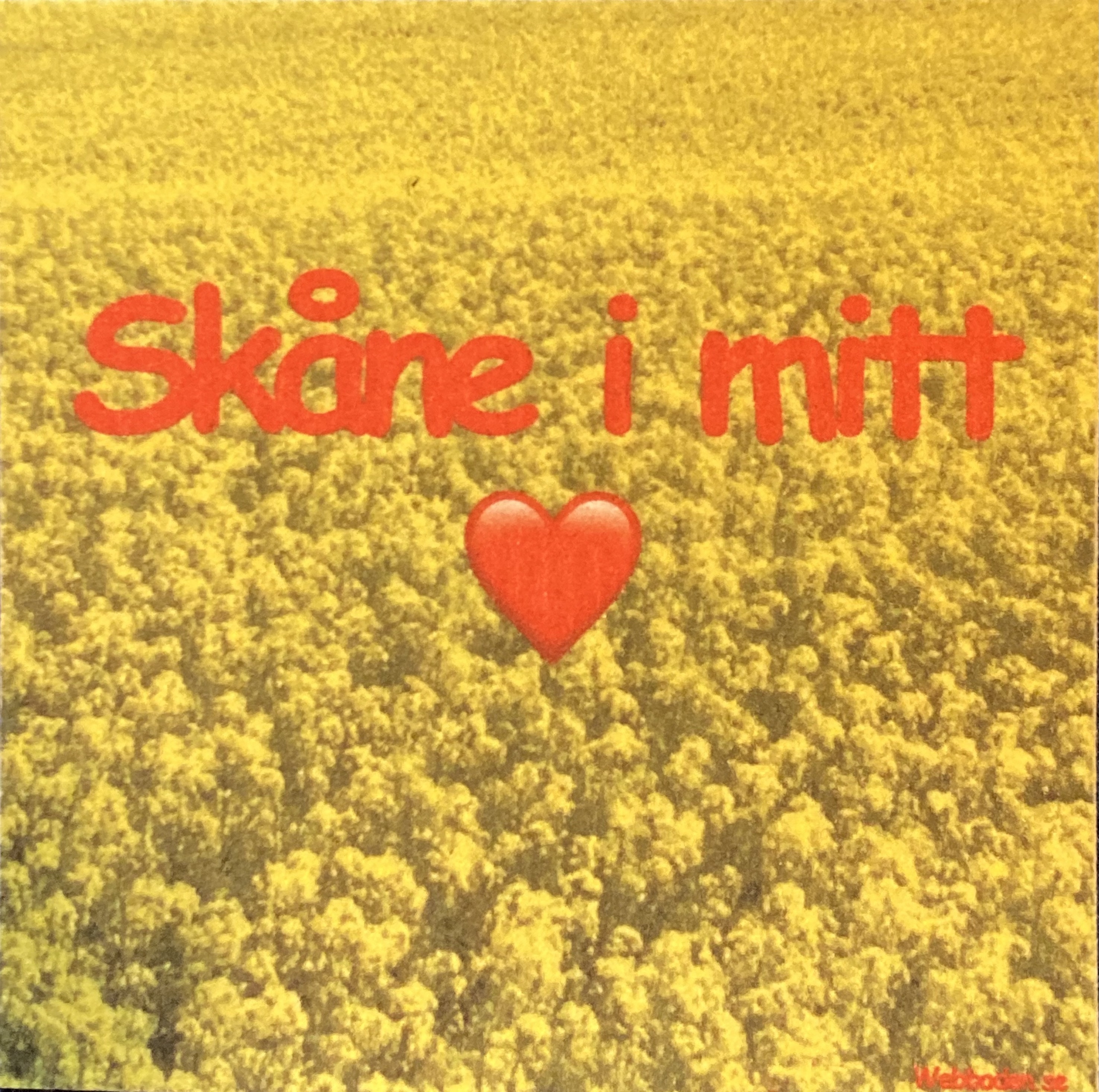 Disktrasa Skåne I Mitt Hjärta