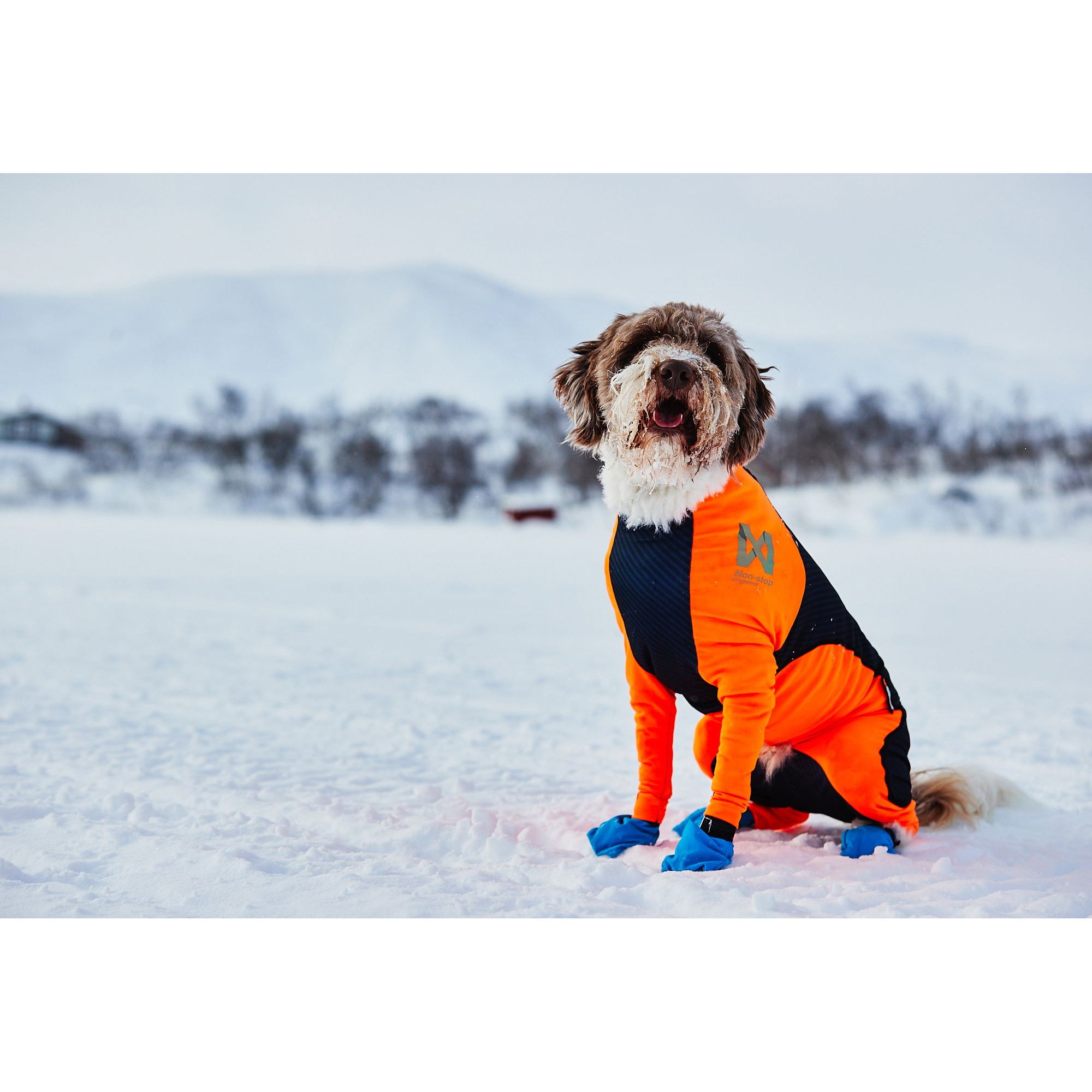 Non-Stop Protector Snow - 3