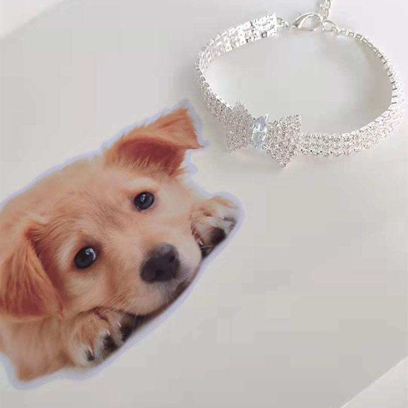 Katthalsband Strass Rosett - 2