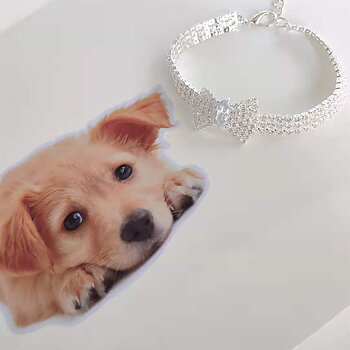 Katthalsband Strass Rosett