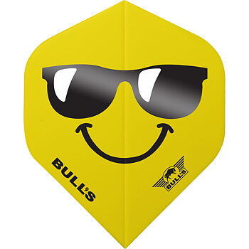 Bulls NL Smiley 100 Sunglasses Standard NO2