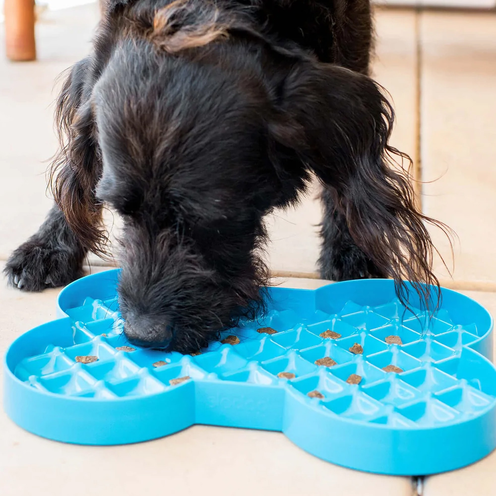 Slodog Slow Feeder Plate jamihundsport