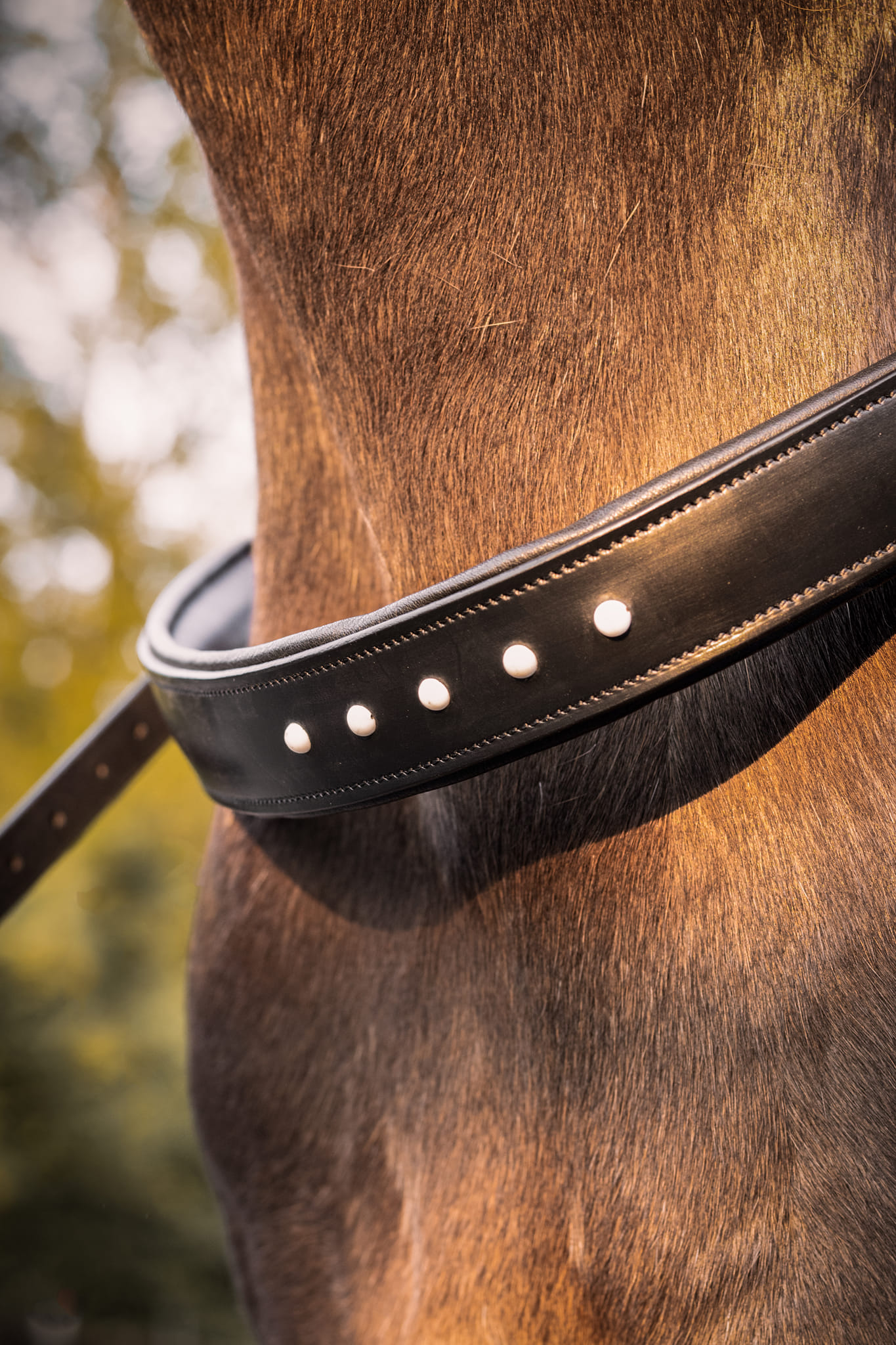 Balance Rein / neck ring / cordeo, F.R.A® 'Glory' - 14