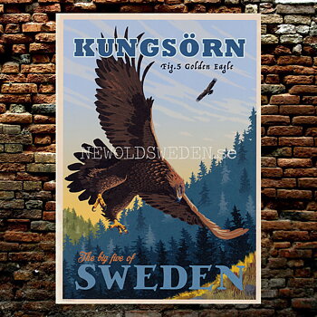 KUNGSÖRN GOLDEN EAGLE No: 5 of 5 - A4 - ThomasO - BB07