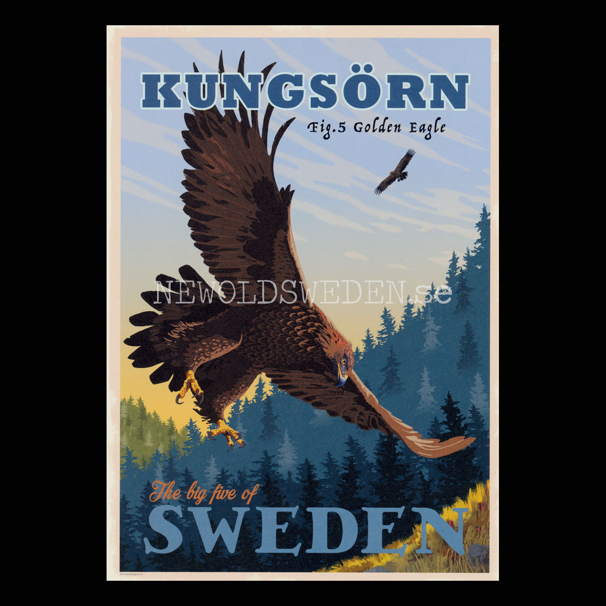 KUNGSÖRN GOLDEN EAGLE No: 5 of 5 - A4 - ThomasO - BB07