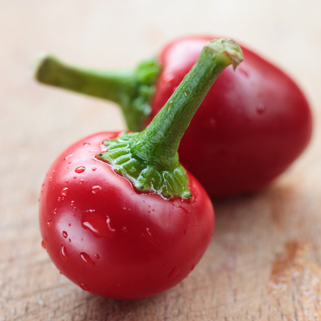 Chili - Hot Coral Red