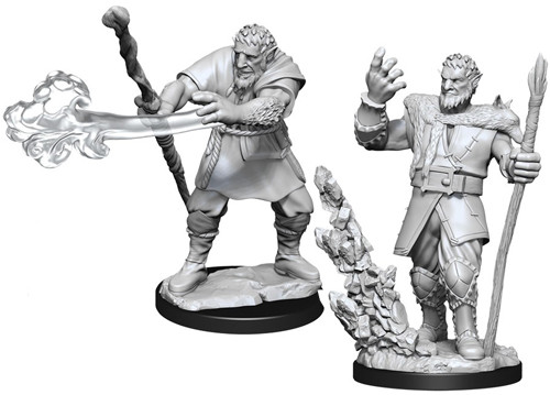 D&D Nolzur's Marvelous Miniatures : Male Firbolg Druid