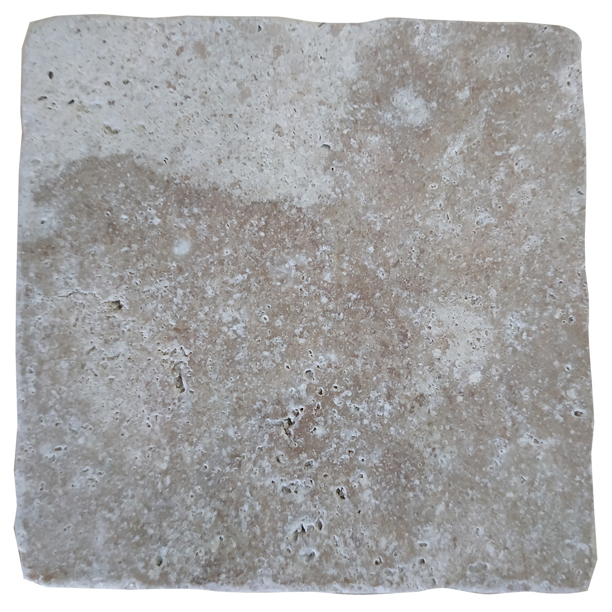 Fauna Marin Frag Tiles - 3