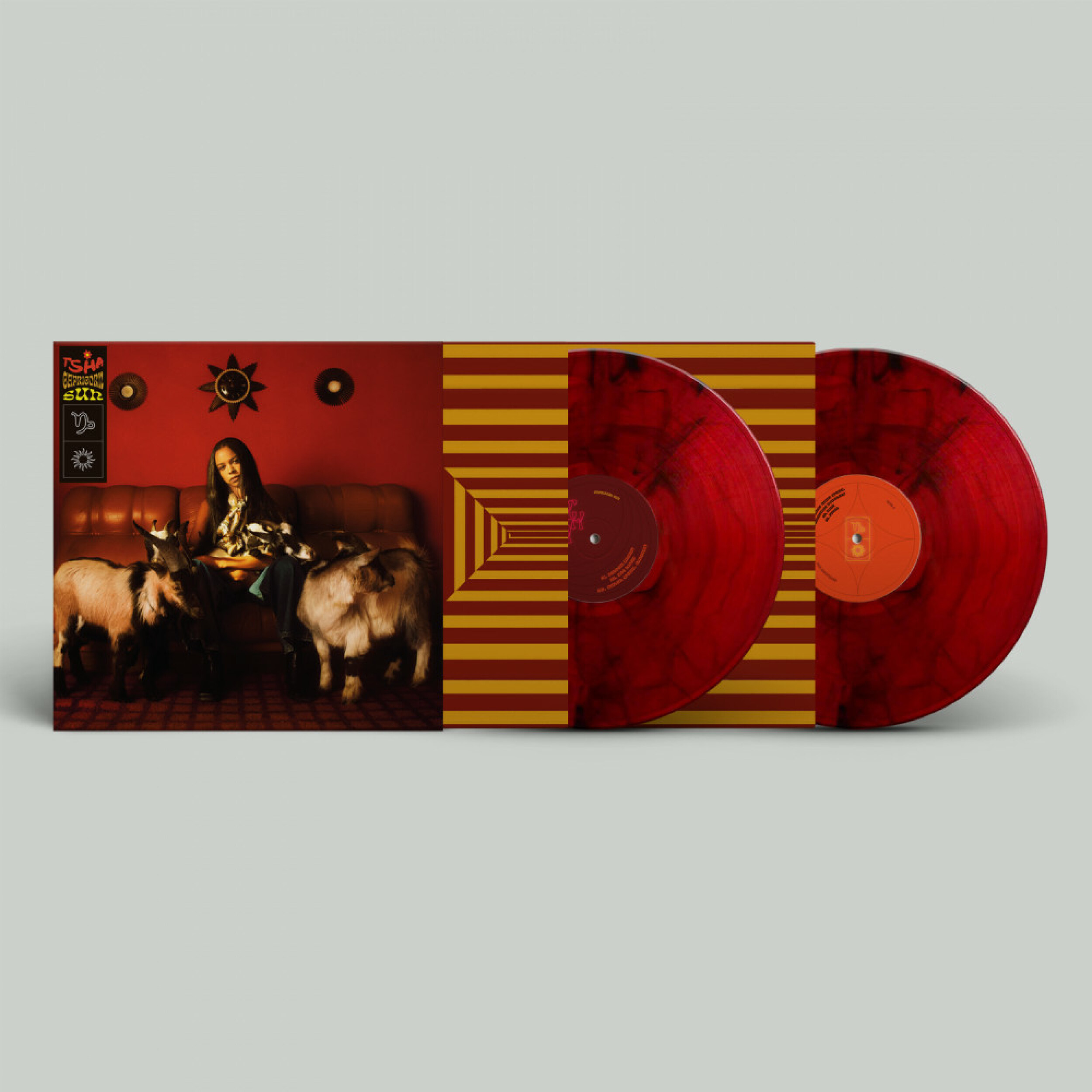  TSHA - Capricorn Sun /  ninja tune