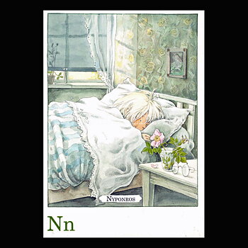 Nn Nyponros Majas Alfabet - Lena Andersson - 1860
