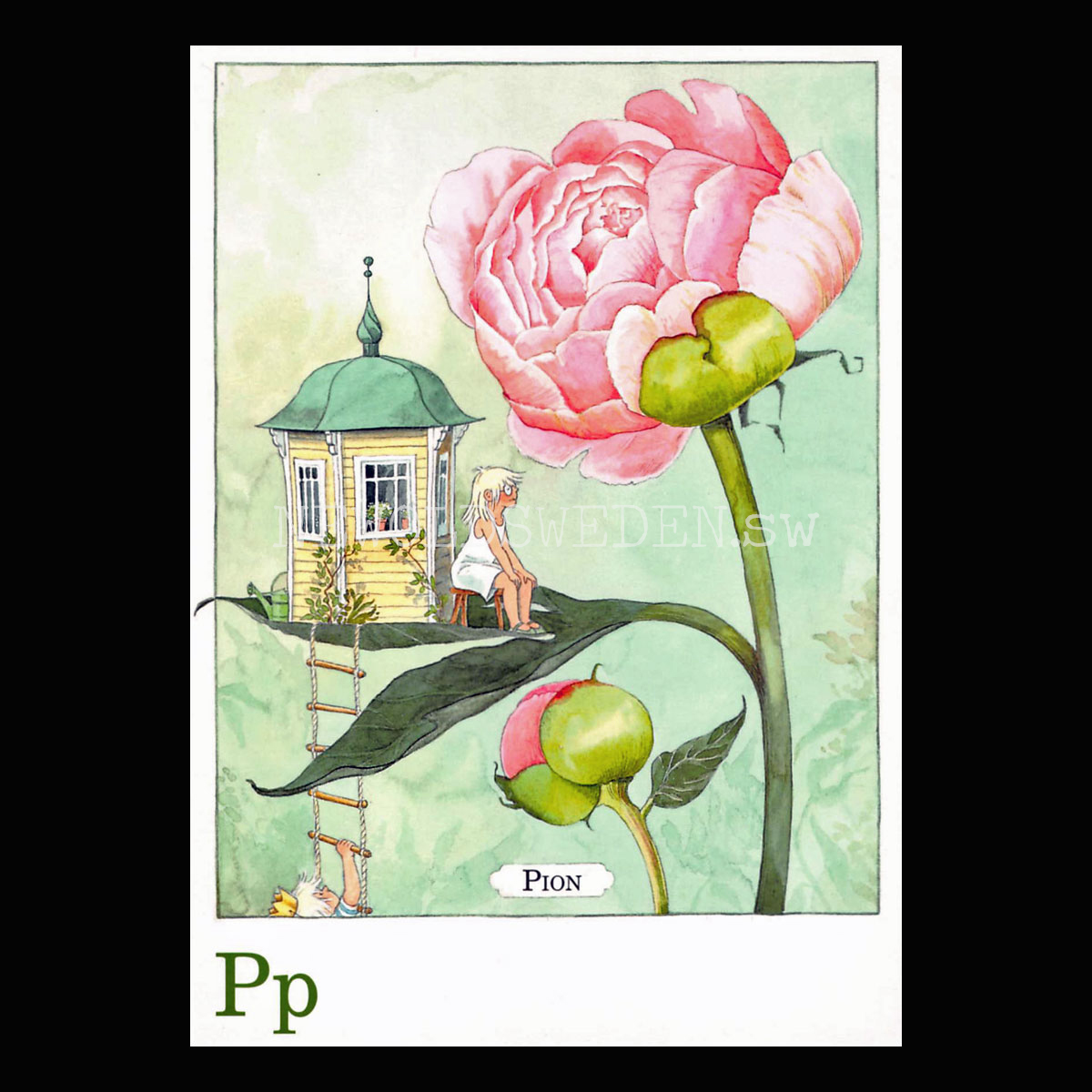 Pp Pion Majas Alfabet - Lena Andersson - 1860