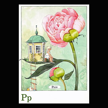 Pp Pion Majas Alfabet - Lena Andersson - 1860