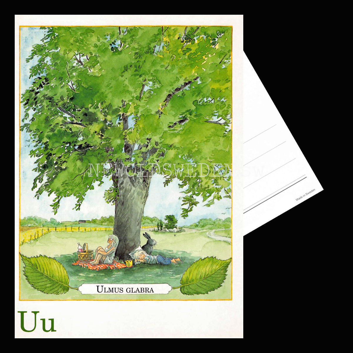Uu Ulmus Glabra Majas Alfabet - Lena Andersson - 1860 - 2