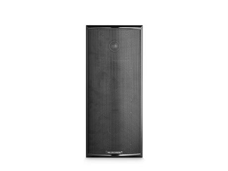 M&K Sound LCR750 - 2