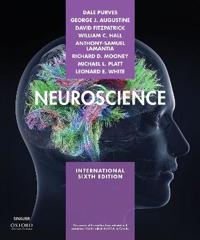 Neuroscience 6Ed