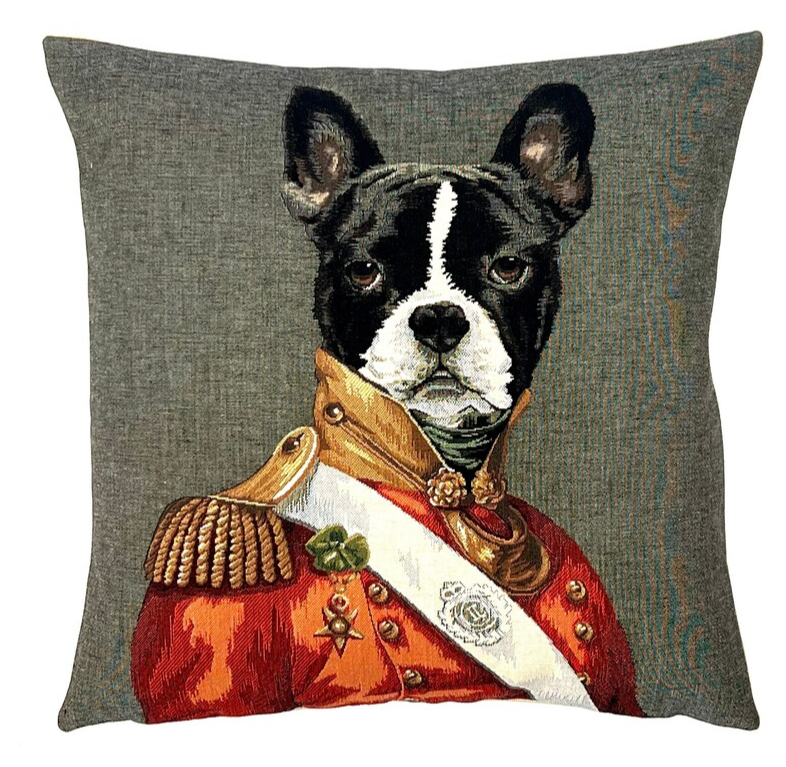 Boston Terrier