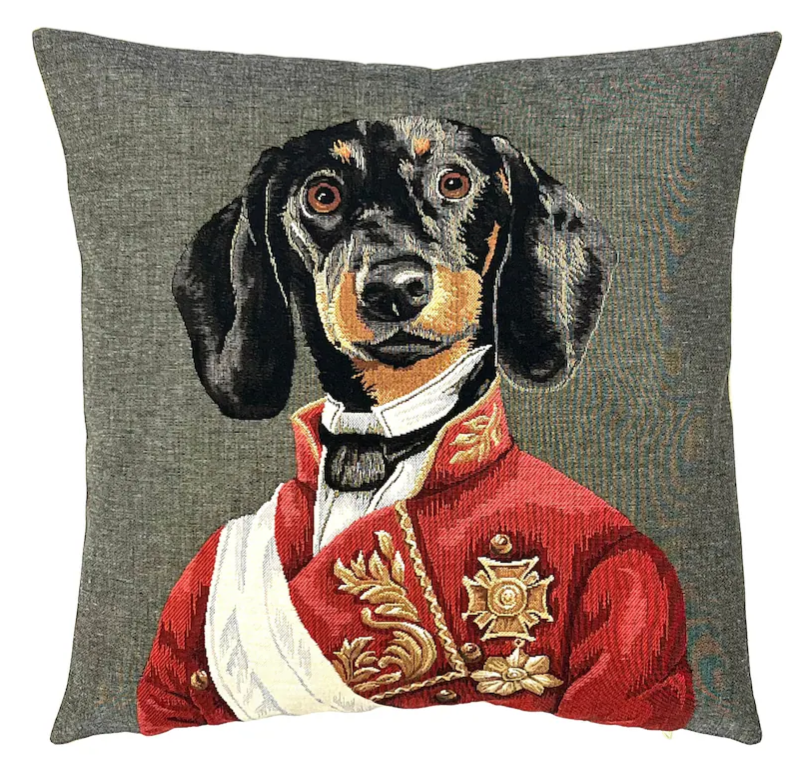 Dachshund