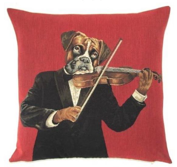 Boxer with violin