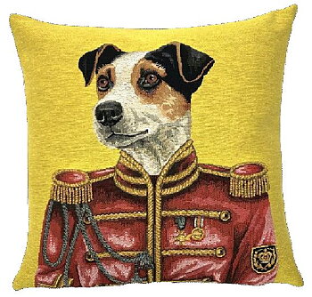 Jack Russel 