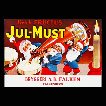 FALKEN FRUCTUS Jul-Must Falkenberg - Vykort A5