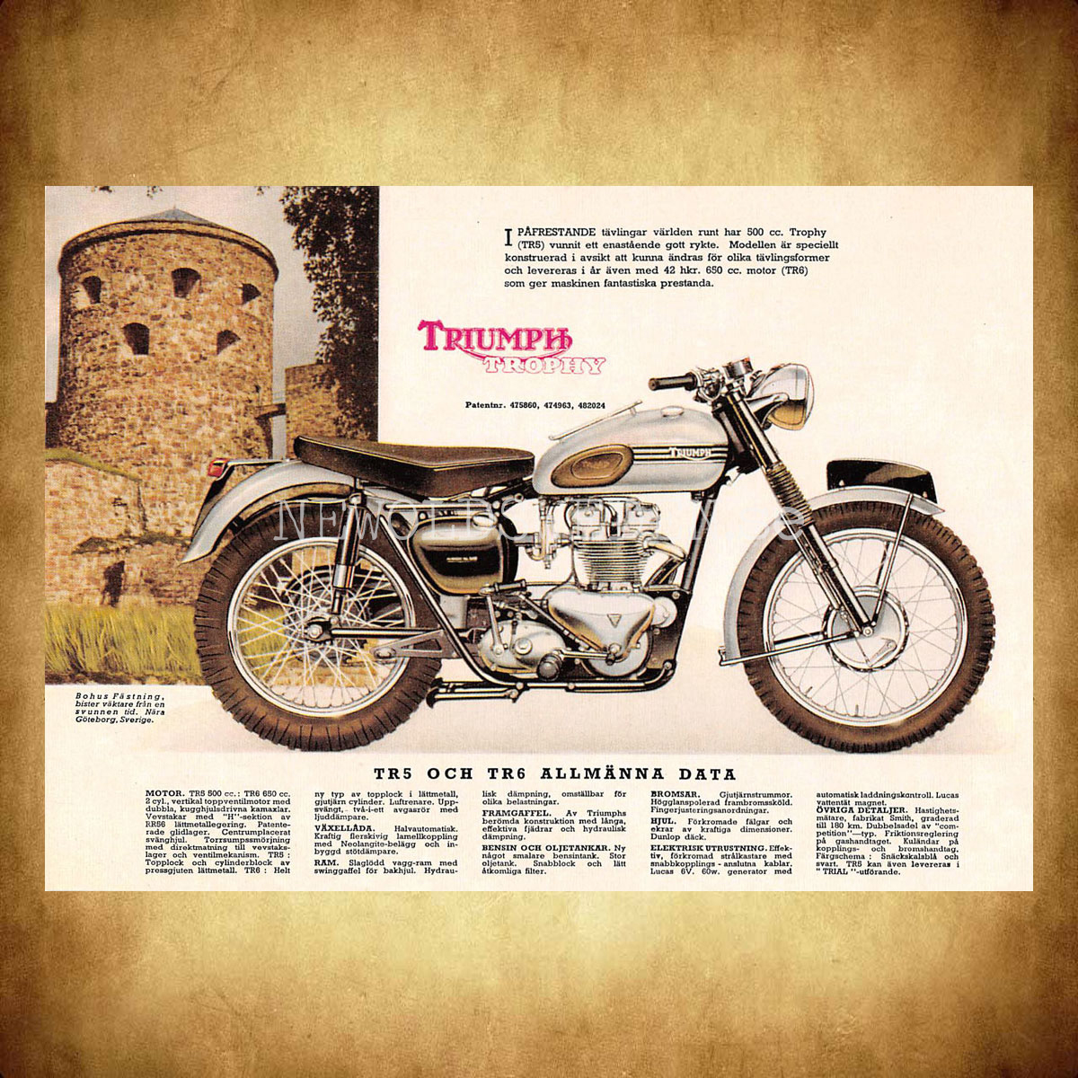 TRIUMPH TROPHY TR5 500 cc & TR6 650 cc - Vykort A5 - 2