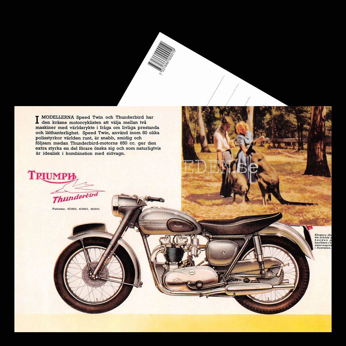 TRIUMPH THUNDERBIRD & SPEED TWIN 650 cc - Vykort A5 - 3
