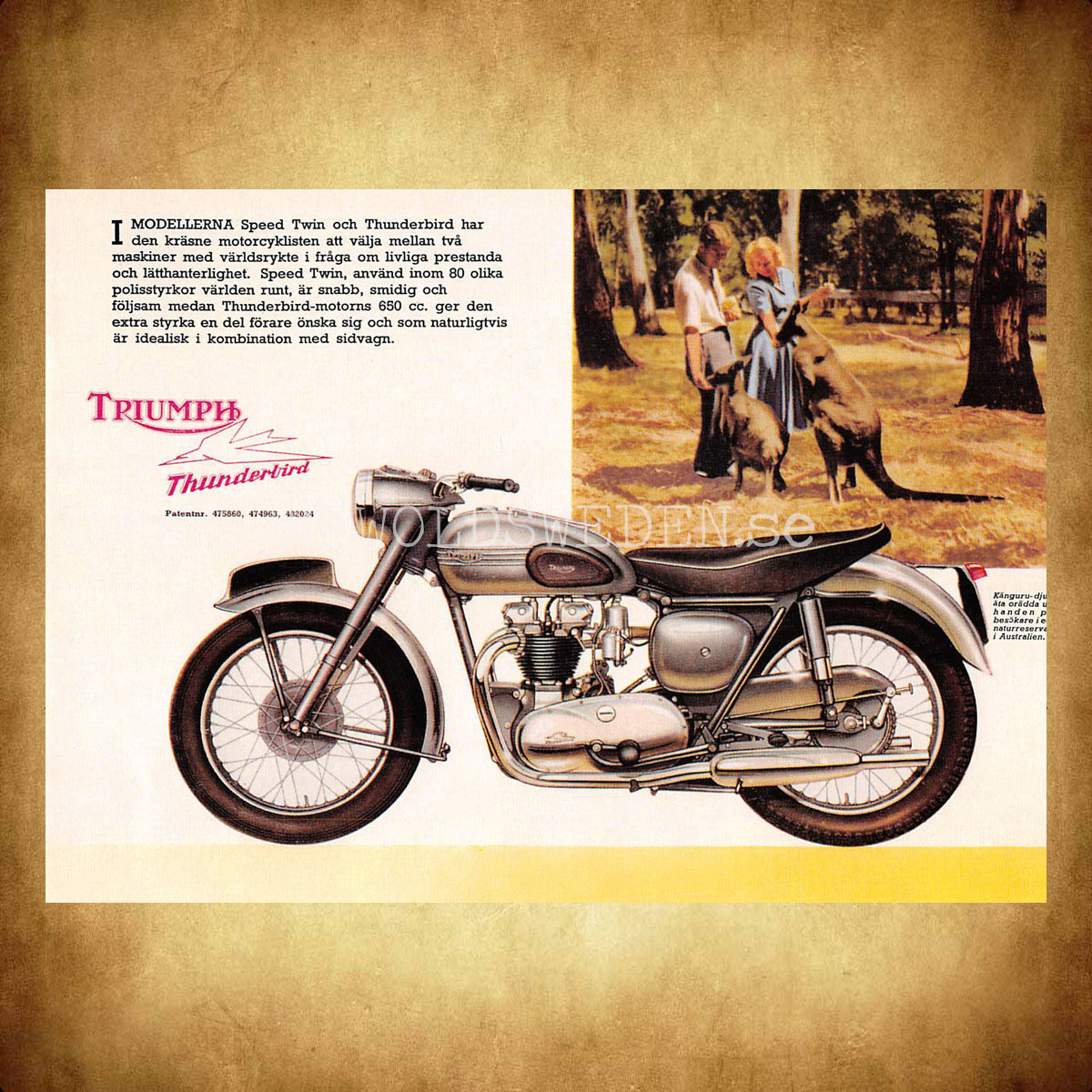 TRIUMPH THUNDERBIRD & SPEED TWIN 650 cc - Vykort A5 - 2