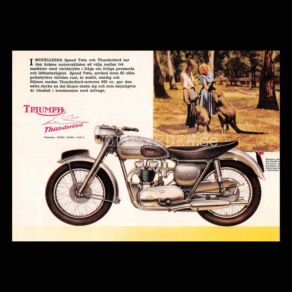 TRIUMPH THUNDERBIRD & SPEED TWIN 650 cc - Vykort A5