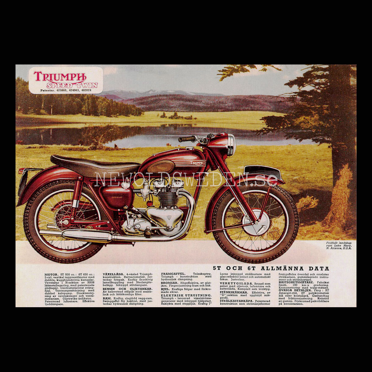 TRIUMPH SPEED TWIN 5T 500 cc & 6T 650 cc - Vykort A5